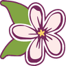 Jasmine Grill